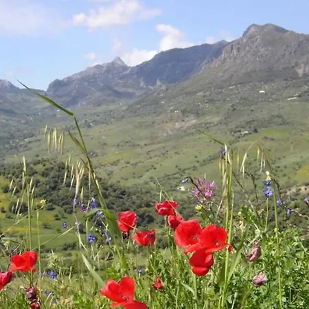 Namaste Grazalema